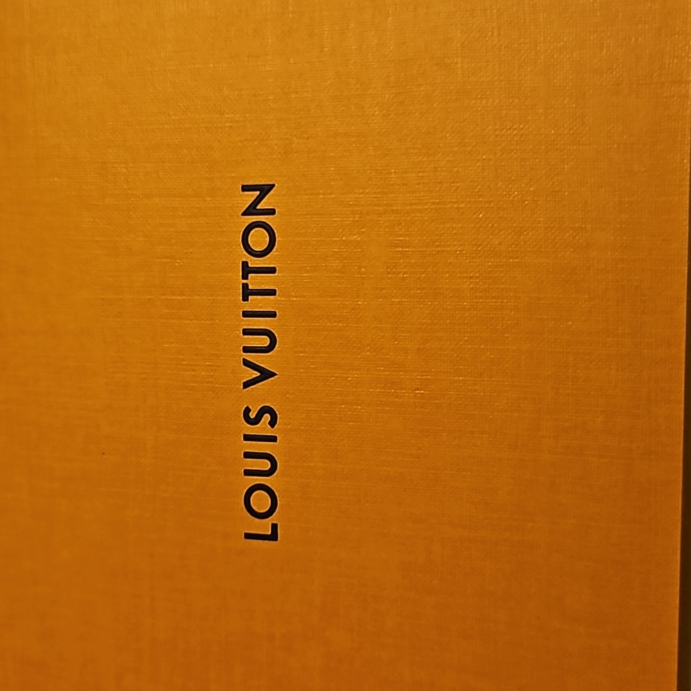 Authentic Louis Vuitton Envelope - Picture 2 of 4